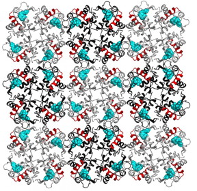 Lysozyme molecules arranged in a crystal lattice. The red helical structures are associated with electron density changes when the protein crystal was exposed to terahertz radiation.
CREDIT: Gergely Katona, et al.