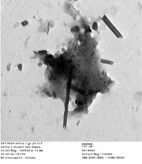 Carbon nanotubes (the long rods) and nanoparticles (the black clumps) appear in vehicle exhaust taken from the tailpipes of cars in Paris. The image is part of a study by scientists in Paris and at Rice University to analyze carbonaceous material in the lungs of asthma patients. They found that cars are a likely source of nanotubes found in the patients.

Courtesy of Fathi Moussa/Paris-Saclay University