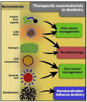This schematic represents the current use and perspectives on the use of nanomaterials on therapeutic dentistry.
CREDIT: Padovania et al./Trends in Biotechnology 2015