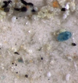 Microplastics contaminate sea salt in several commercial products bought in China. 
Credit: American Chemical Society