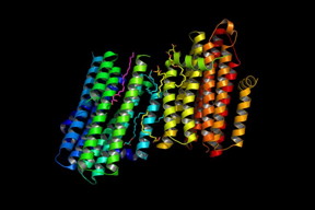 Graphic shows the structure of diacylglycerol kinase (DgkA) determined with the Free Electron Laser (FEL) in Stanford, Ca. This new structure has been deposited in the protein data bank under the code 4UYO.
CREDIT: The Biodesign Institute at Arizona State University