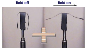 This image shows a selective actuation of the side arms of a soft robot in a horizontal uniform magnetic field.
CREDIT: Sumeet Mishra, North Carolina State University