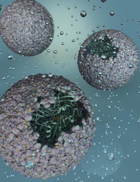 This is an artist's rendering of P22-Hyd, a new biomaterial created by encapsulating a hydrogen-producing enzyme within a virus shell.
CREDIT: Indiana University