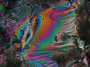 The liquid crystalline hydrogel in a dry state.
CREDIT: Patrick Mather