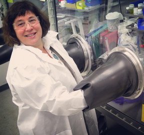 Berkeley Lab scientist Marca Doeff is pictured.
CREDIT: Kelly Owen/Berkeley Lab