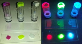 This image shows rubber with red, green and blue luminescent proteins used to produce the BioLEDs.
CREDIT: M. D. Weber/University of Erlangen-Nuremberg