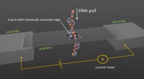 This is the NIST concept for DNA sequencing through a graphene nanopore.
CREDIT: Smolyanitsky/NIST