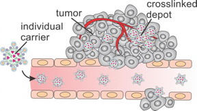 Biomedical engineering researchers have developed a technique for creating microscopic "depots" for trapping drugs inside cancer tumors. In an animal model, these drug depots were 10 times more effective at shrinking tumors than the use of the same drugs without the depots.
CREDIT: Quanyin Hu