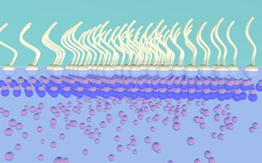 The new nanoscale manufacturing process draws zinc to the surface of a liquid, where it forms sheets just a few atoms thick.
CREDIT: Xudong Wang
