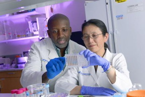 Dr. Ian Corbin (left) and Dr. Xiaodong Wen look over lab samples from their study of an experimental nanoparticle therapy that shows promise for fighting primary liver cancer.
CREDIT: UT Southwestern Medical Center