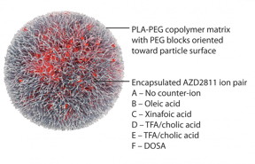 The polymeric nanoparticle Accurin encapsulates the clinical candidate AZD2811, an Aurora B kinase inhibitor. This material relates to a paper that appeared in the Feb. 10, 2016 issue of Science Translational Medicine, published by AAAS. The paper, by S. Ashton at institution in location, and colleagues was titled, "Aurora kinase inhibitor nanoparticles target tumors with favorable therapeutic index in vivo."
CREDIT: Ashton et al., Science Translational Medicine (2016)
