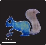 This image of a squirrel was printed in color by controlling the thickness of a colorless ink deposited on a thin film. 
Credit: American Chemical Society