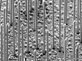 Gallium-arsenide nanowires are on a silicon surface.
CREDIT: Thomas Stettner/Philipp Zimmermann / TUM