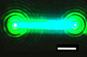 A nanowire, composed of cesium, lead and bromide (CsPbBr3), emits bright laser light after hit by a pulse from another laser source. The nanowire laser proved to be very stable, emitting laser light for over an hour. It also was demonstrated to be broadly tunable across green and blue wavelengths. The white line is a scale bar that measures 2 microns, or millionths of an inch.

Credit: Sam Eaton/UC Berkeley