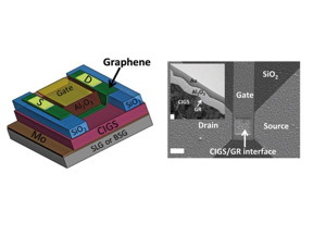 Left: This is a schematic of a graphene field-effect-transistor used in this study. The device consists of a solar cell containing graphene stacked on top of a high-performance copper indium gallium diselenide (CIGS) semiconductor, which in turn is stacked on an industrial substrate (either soda-lime glass, SLG, or sodium-free borosilicate glass, BSG). The research revealed that the SLG substrate serves as a source of sodium doping, and improved device performance in a way not seen in the sodium-free substrate. Right: A scanning electron micrograph of the device as seen from above, with the white scale bar measuring 10 microns, and a transmission electron micrograph inset of the CIGS/graphene interface where the white scale bar measures 100 nanometers.
CREDIT: Brookhaven National Laboratory