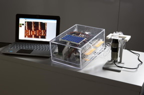 The microfluidic tool has been tested with Ebola. It requires no bulky equipment, and is thus ideally suited for use in remote regions.
CREDIT: Alban Kakulya