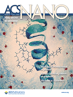 Keten's work is featured on the cover of February's ACS Nano.