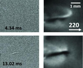 On the left are the direct transmission images. On the right are the diffraction images.
CREDIT: Rack et al.