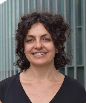 This is Elisa Riedo, PhD, Professor of Physics with the CUNY Advanced Science Research Center's Nanoscience Initiative.

Courtesy of the CUNY Advanced Science Research Center
