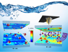 When a negative bias is applied to a two-dimensional MXene electrode, Li+ ions from the electrolyte migrate in the material via specific channels to the reaction sites, where the electron transfer occurs. Scanning probe microscopy at Oak Ridge National Laboratory has provided the first nanoscale, liquid environment analysis of this energy storage material.
CREDIT: ORNL