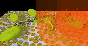 This is an artist's interpretation of how bacteria cells on a nanoporous gold disk array are killed after exposure to near-infrared light.
CREDIT: Greggy M. Santos and Wei-Chuan Shih