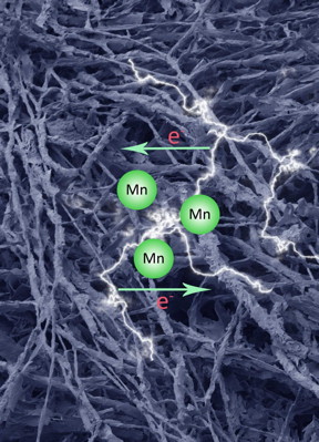 This is an artistic rendering of a carbonized fungal biomass-manganese oxide mineral composite (MycMnOx/C) can be applied as a novel electrochemical material in energy storage devices
CREDIT: Qianwei Li and Geoffrey Michael Gadd