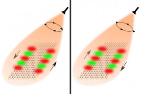 Researchers used the spin of light to guide the flow of optical information. Shining right-circularly polarized light on nanoribbons made of special 2-D materials enables light to flow forward on one edge and backward on the other edge. Changing the polarization of the light causes the guided modes to reverse directions.

Image: Anshuman Kumar Srivastava