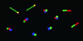 Artificial molecules are shown. The individual components are marked with different fluorescent dyes (molecule size: 2-7 micrometres; compilation of microscopic images).
CREDIT: ETH Zurich / Lucio Isa