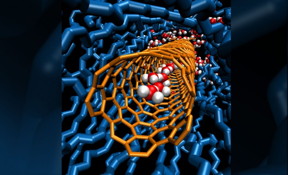 A single chain of water molecules lines the cavity inside a carbon nanotube porin, which is embedded in a lipid bilayer. Image by: Y. Zhang and Alex Noy/LLNL.