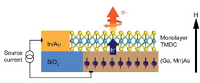 This schematic shows a TMDC monolayer coupled with a host ferromagnetic semiconductor, which is an experimental approach developed by Berkeley Lab scientists that could lead to valleytronic devices. Valley polarization can be directly determined from the helicity of the emitted electroluminescence, shown by the orange arrow, as a result of electrically injected spin-polarized holes to the TMDC monolayer, shown by the blue arrow. The black arrow represents the direction of the applied magnetic field.
CREDIT: Berkeley Lab