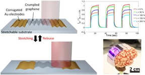 Stretchable photodetector with enhanced, strain-tunable photoresponsivity was created by engineering the 2D graphene material into 3D structures, increasing the graphenes areal density.
Credit: University of Illinois College of Engineering