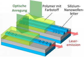 Organic laser on a silicon photonic chip: Optical excitation from above generates laser light in the waveguide.

Graphics: KIT