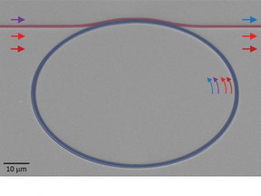 False-colored scanning electron micrograph of the nanophotonic frequency converter, consisting of a ring-shaped resonator (shaded blue) into which light is injected using a waveguide (shaded red). The input signal, depicted as a purple arrow, is converted to a new frequency (blue arrow) through the application of two pump lasers (light and dark red arrows).
CREDIT: K. Srinivasan et al./NIST