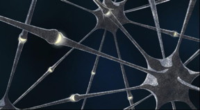 Neuron connections in biological neural networks.
CREDIT: MIPT press office