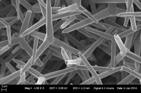 Zinc oxide tetrapod nanoparticles are shown.

Credit: Deepak Shukla