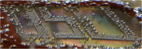 Researchers at Oregon State University using new technology to control the formation and release of bubbles illustrate it with the letters "OSU" being printed on a substrate.
CREDIT: Oregon State University