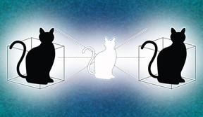 Yale physicists have given Schrdinger's cat a second box to play in.
CREDIT: Illustration by Michael S. Helfenbein/Yale University