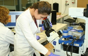 Katarzyna Malek-Zietek, MSc, uses the JPK NanoWizard AFM system at NANOSAM,
Jagiellonian University in Krakow
