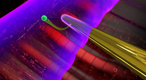 When laser light interacts with a nanoneedle (yellow), electromagnetic near fields are formed at its surface. A second laser pulse (purple) ejects an electron (green) from the needle, which can be used to characterize the near fields. Source: Christian Hackenberger