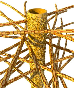 Dentin's biological structure: tubules and mineral nanoparticles are embedded in a network of collagen fibers.

Image: Jean-Baptiste Forien,  Charit - Universittsmedizin Berlin