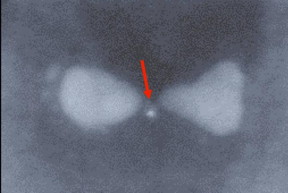 This is a bowtie-shaped nanoparticle made of silver with a trapped semiconductor quantum dot (indicated by the red arrow).
CREDIT: Weizmann Institute of Science