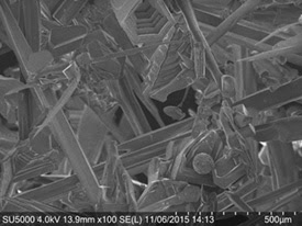 Examples of lab-transferred ice crystals from the Magee Group at TCNJ.