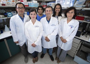 Dr. Didier Merlin (front row, center) and colleagues with the Atlanta VA Medical Center and the Institute for Biomedical Sciences at Georgia State University are exploring the use of edible ginger-derived nanoparticles to treat inflammatory bowel disease.
CREDIT: Lisa Pessin
