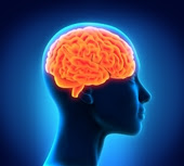 Preventing long-term effects of traumatic brain injury could involve rushing nanoparticles across a weakened blood-brain barrier soon after a blow.
Credit: Nerthuz/Shutterstock.com