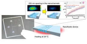 A photo and a schematic illustration for a nanofluidic diffraction grating. Label-free signals based on a diffraction intensity change were attributed to amplification of DNA molecules, such as human papillomavirus and tubercle bacilli.
CREDIT: Takao Yasui