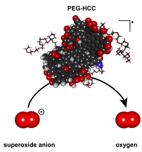 Polyethylene glycol-hydrophilic carbon clusters developed at Rice University were shown to be selectively taken up by T cells, which inhibits their function, in tests at Baylor College of Medicine. The researchers said the nanoparticles could lead to new strategies for controlling autoimmune diseases like multiple sclerosis. Credit: Errol Samuel/Rice University