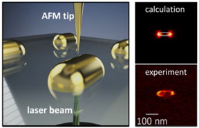 An illustration (left) depicts the technique known as "photo-induced force microscopy," and the images at right show how closely the experimental and theoretical findings match in a recent investigation of the technique at Rice University. Illustration by Chloe Doiron/Rice University. Reprinted with permission from Nano Letters 2016, Articles ASAP, DOI: 10.1021/acs.nanolett.6b04245. Copyright 2016 American Chemical Society.