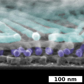 The added color in this scanning electron microscope (SEM) image showcases the discrete, self-assembled layers within these novel nanostructures. The pale blue bars are each roughly 4,000 times thinner than a single human hair.
CREDIT
Brookhaven National Laboratory