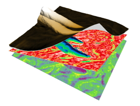 Topography overlaid over the EFM Amplitude image (red) and bimodal AFM Amplitude (green). Under the topography image, it is possible to obtained different kind of information, however knowing the exact type of information is crucial to use KPFM technique in  a reliable manner.