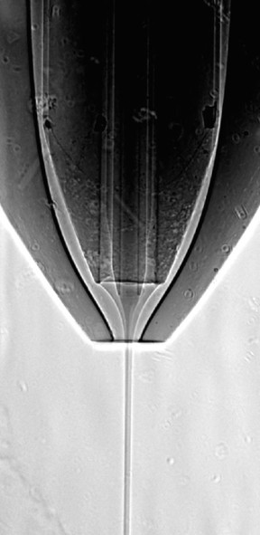 Radiograph of the working nozzle, showing the inner protein stream surrounded by the ethanol jet.

Credit: Dominik Oberthuer, DESY